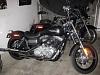 New Street Bob Owner-017.jpg