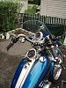 Ridin' Harleys since 1964-hi there from NJ-bike-shots-016sized.jpg