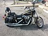 First time Harley owner - 07 Street Bob-10351517_10203357155083937_143988181680562831_n.jpg