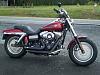 riding for decades but first Harley-fat-bob-2.jpg