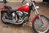 rd89softail's Avatar