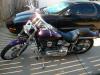 Purple98fxstc's Avatar