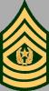 Sergeant Major's Avatar