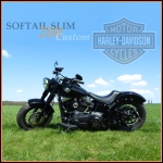 Softail Slim's Avatar