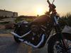 mlt_sportster's Avatar