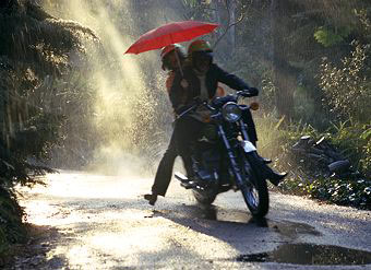 Riding in the Rain: Your Guide to Wet Weather Wandering - Harley