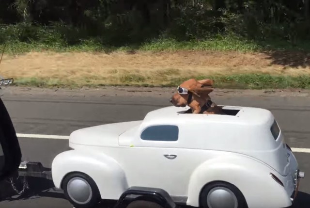 The Ultimate Motorcycle Trailer for Mutts on the Move ...