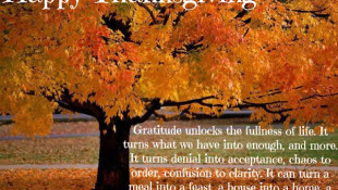 Thanksgiving – What I am thankful for