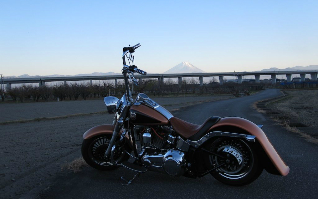 2008 harley davidson fatboy anniversary edition