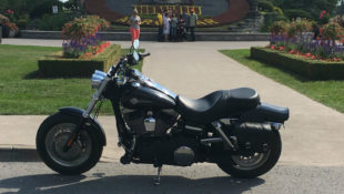 MY RIDE! A 2008 Harley-Davidson Fat Bob