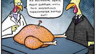 Friday Funnies – Thanksgiving Edition