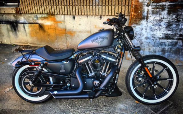 Harley-Davidson Iron 883: My Ride!