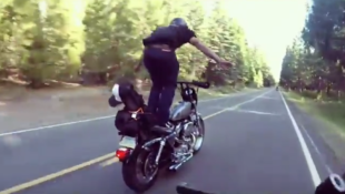 Harley-Davidson Sportster Wheelies Never Fail to Impress!