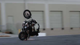 Harley-Davidson Wheelie Sparks