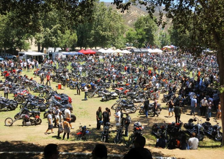 BornFree Motorcycle Show Attracts Big Stars, Badass Bikes Harley
