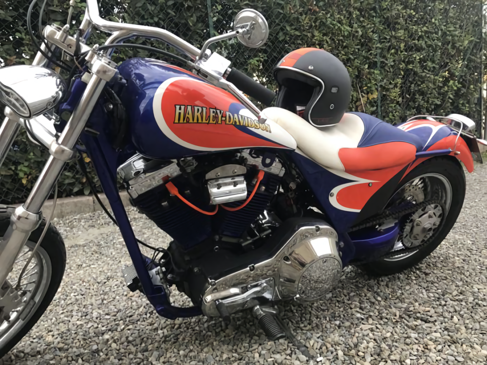 1990 Harley-Davidson Low Rider in Tuscany