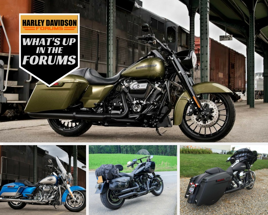 Best Harley for Passenger Seeking Smooth Ride?