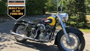 Member Shows off His Sweet New ’66 FLH Shovelhead