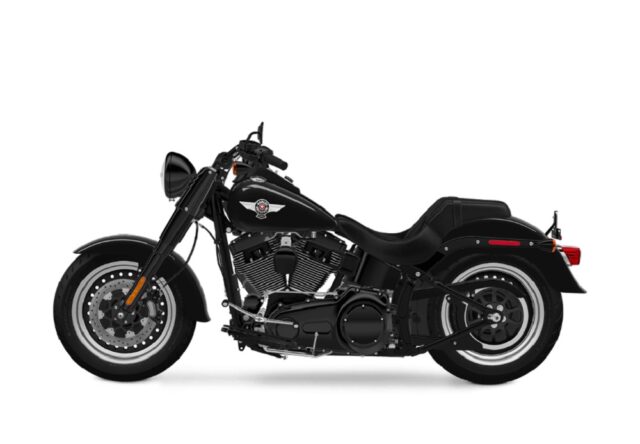 Consider Buying These Twin Cam Harleys Now for the Future