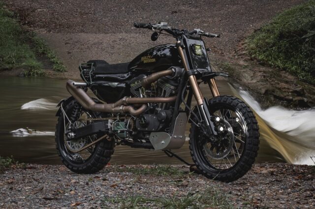 Sportster scrambler 2